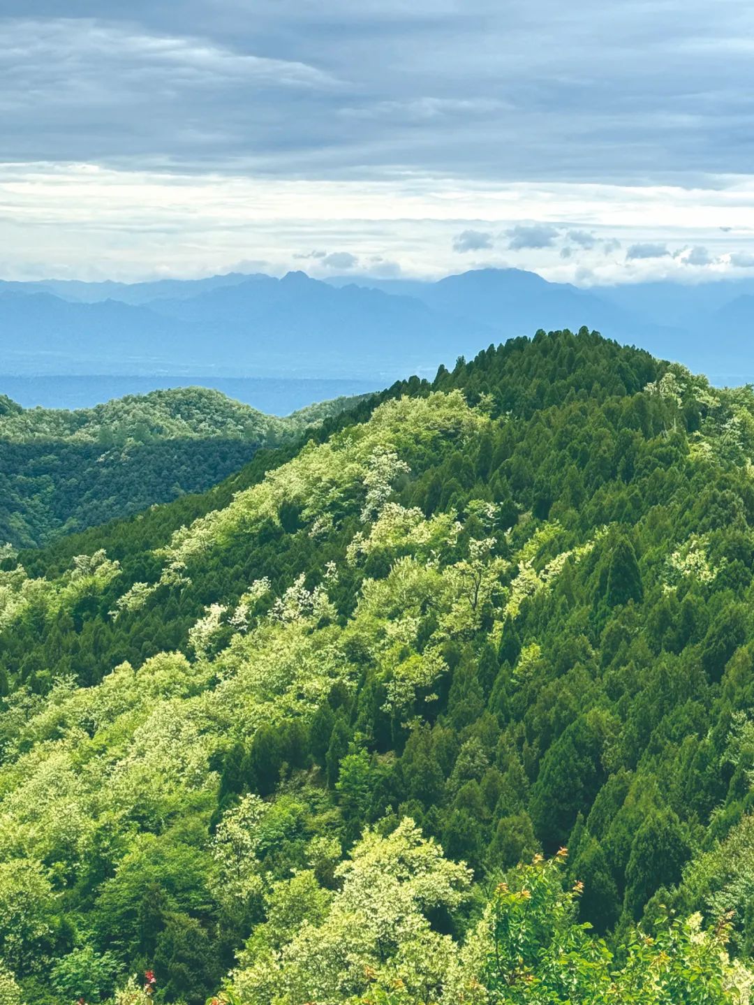 党纪学习教育&middot;每日一课丨聚焦压实责任链条这个关键&mdash;&mdash;陕西推动健全全面从严治党体系